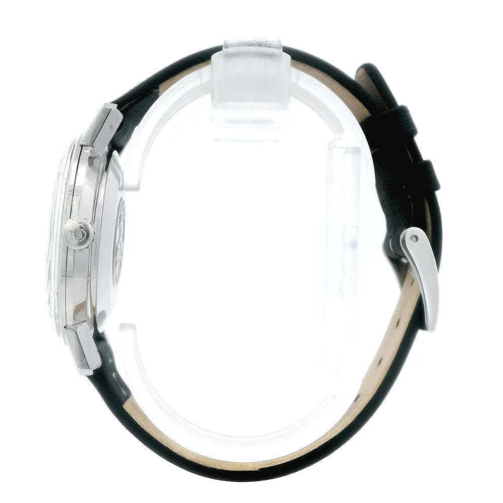 Omega Seamaster 34mm Stainless Steel