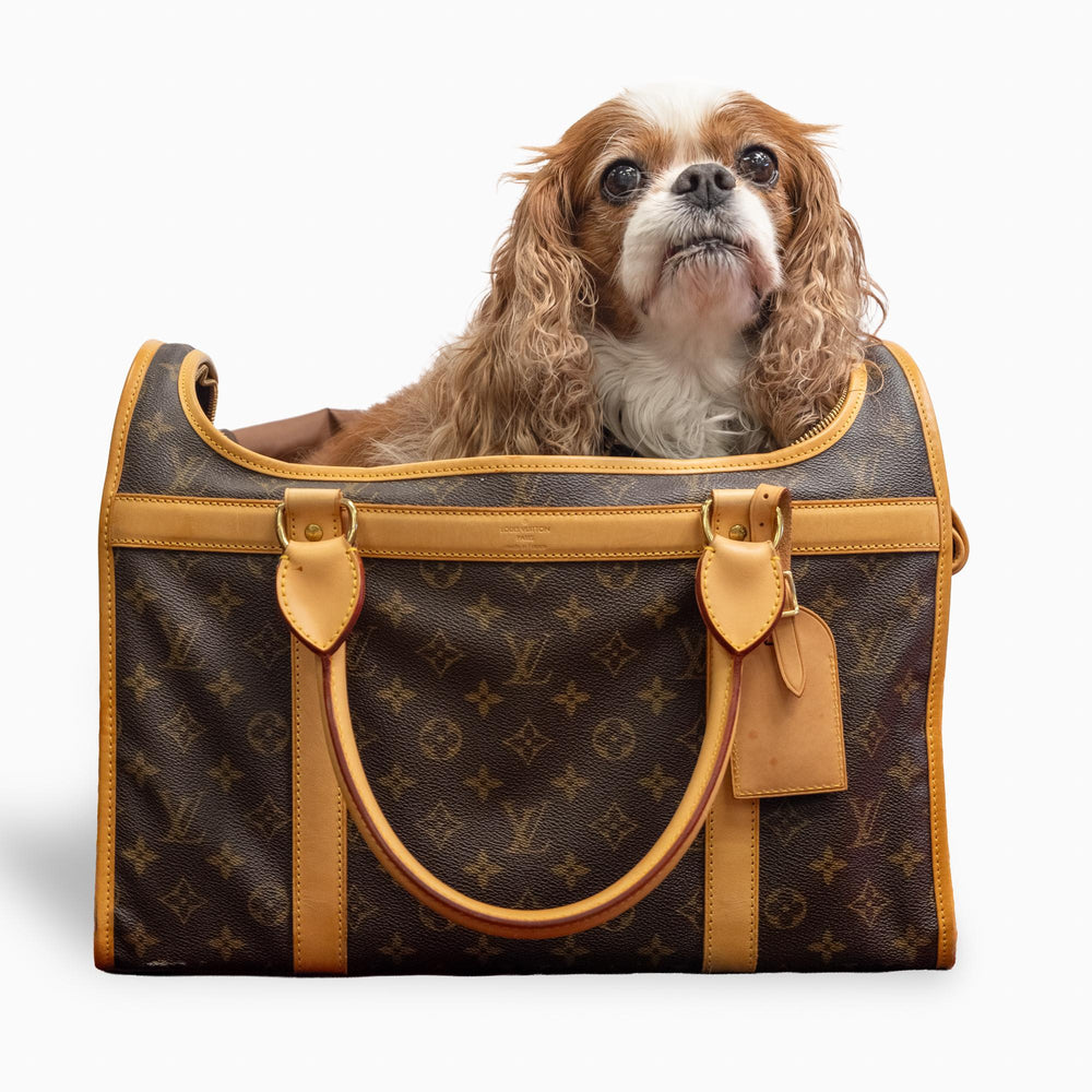 Louis Vuitton Dog Carrier