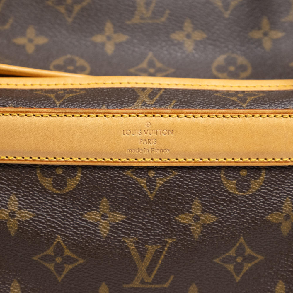 Louis Vuitton Dog Carrier