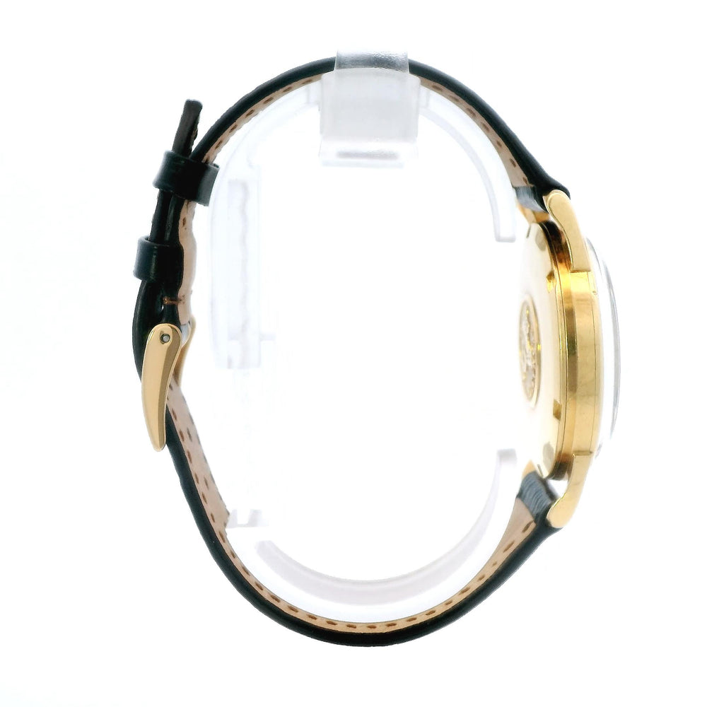 Omega Seamaster 34mm 18k YG