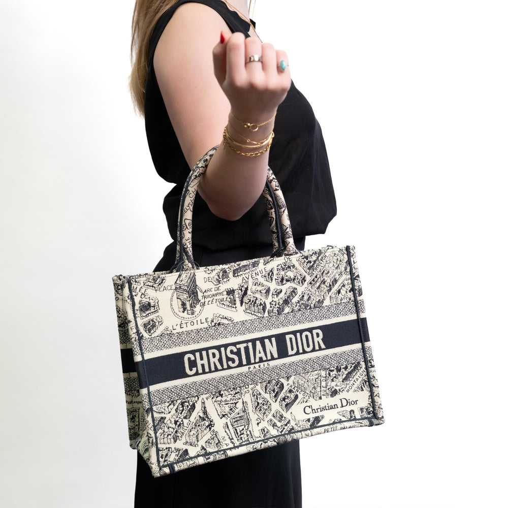 Christian Dior Medium Book Tote in Blue Embroidery