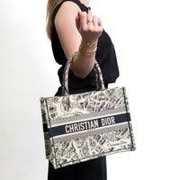 Christian Dior Medium Book Tote in Blue Embroidery