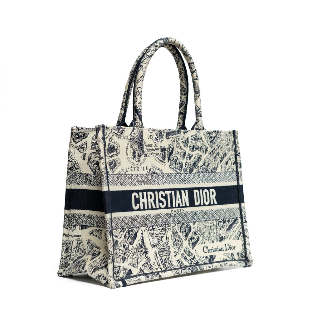 Christian Dior Medium Book Tote in Blue Embroidery