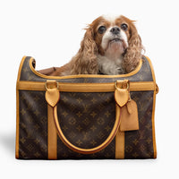 Louis Vuitton Dog Carrier