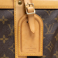 Louis Vuitton Dog Carrier