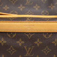Louis Vuitton Dog Carrier