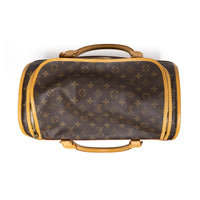 Louis Vuitton Dog Carrier
