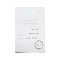 Van Cleef & Arpels Diamond Butterfly Necklace Ref# AR03M400 papers