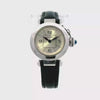 Cartier Pasha Stainless Steel W3140025