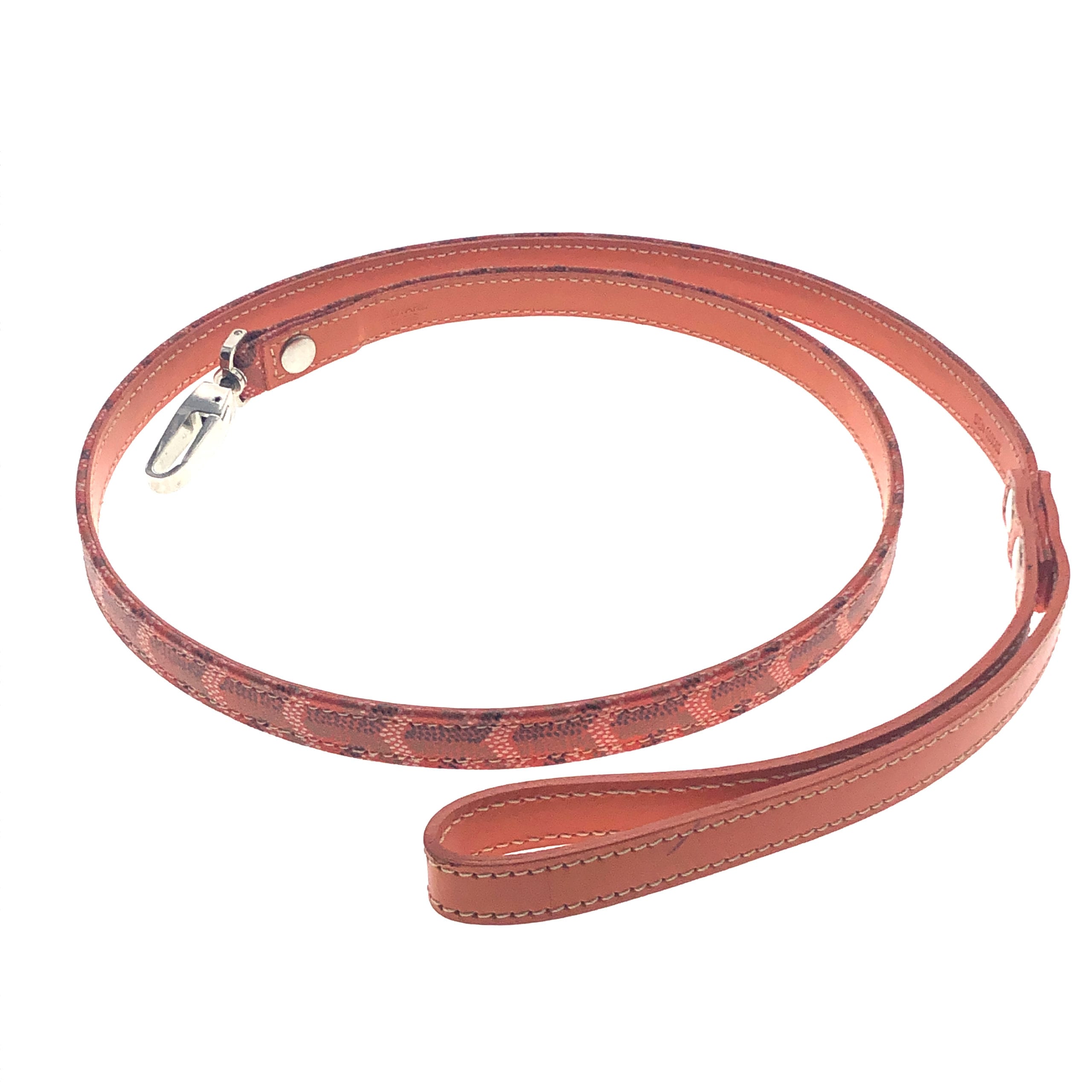 goyard dog collar and leash