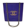Chanel Purple Iridescent Bag 4