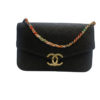 Chanel 2017 Coco Cuba Flap Bag 1