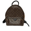 Louis Vuitton Monogram Palm Springs MM Backpack Retail:$2710 4