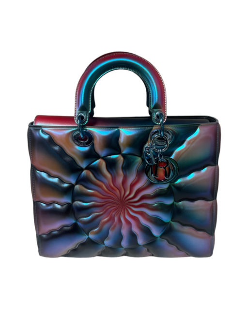 Dior Judy Chicago Metallic Iridescent Calfskin Lady Art Bag 3