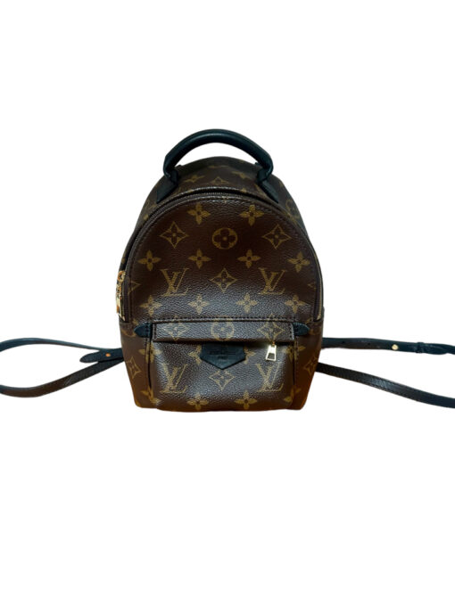 Louis Vuitton Monogram Mini Palm Springs Backpack 2