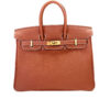 Hermes Birkin 25 Bag in Sienne Togo Leather with Gold Hardware 1