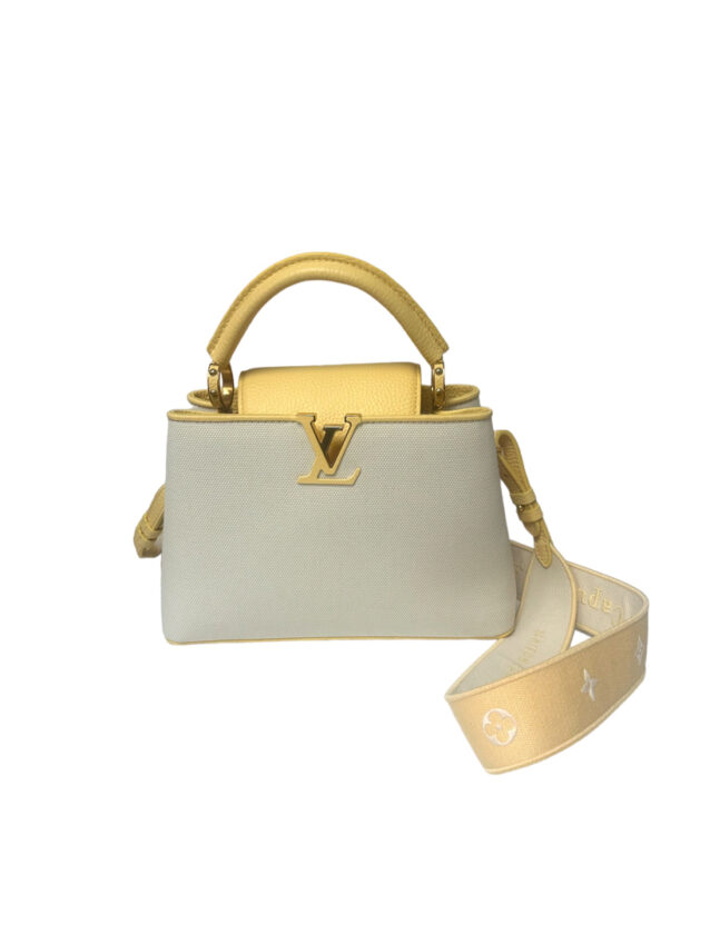 Louis Vuitton Yellow Toile Nomade Capucines Mateo Mm Bag Retail:$7450 February 23, 2024