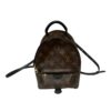Louis Vuitton Mini Palm Springs Backpack July 27, 2024