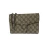 Gucci Monogram Dionysus Wallet On Chain November 5, 2024