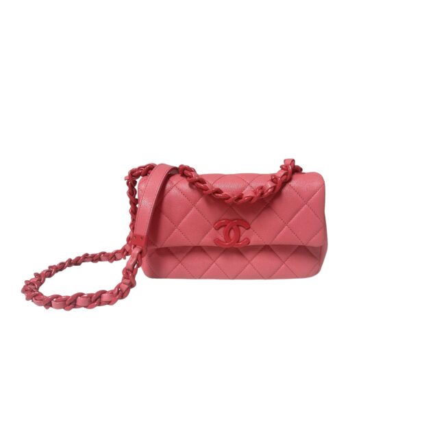 Chanel Pink My Everything Small Flap Bag November 23, 2024